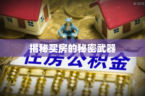 亚东揭秘买房的秘密武器