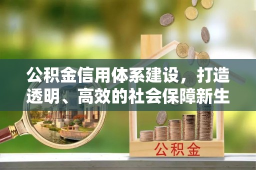 亚东公积金信用体系建设，打造透明、高效的社会保障新生态