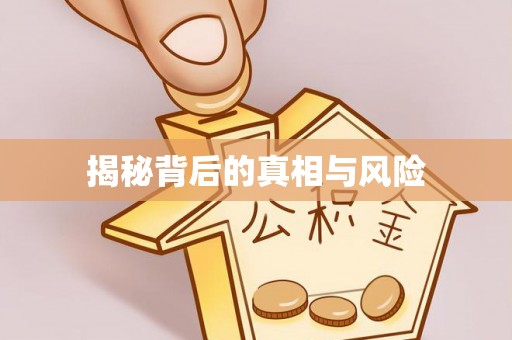 亚东揭秘背后的真相与风险